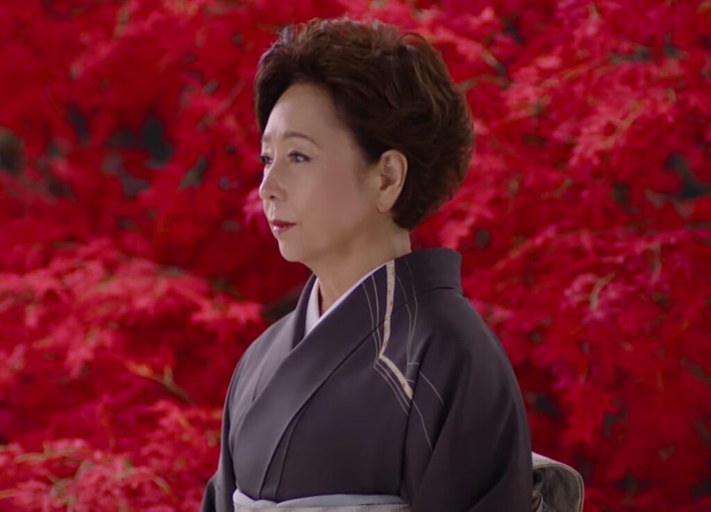 山本陽子 CM